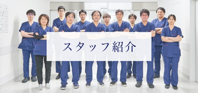 スタッフ紹介